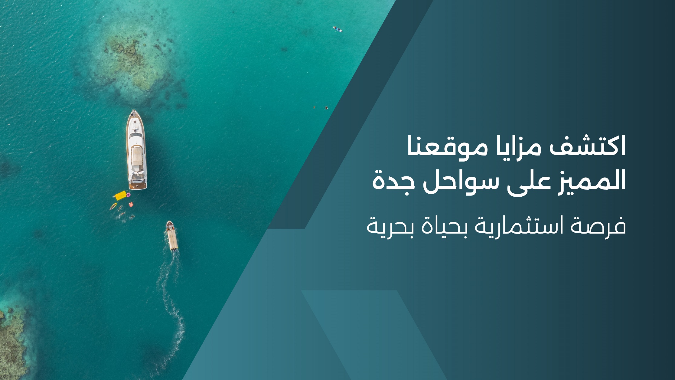 صورة 2